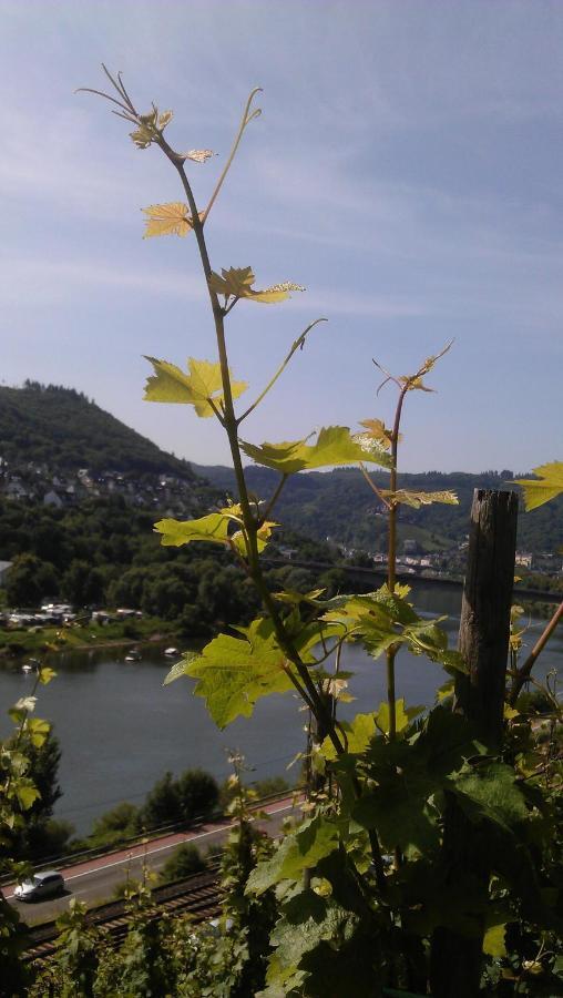 Weinhotel Hubertus Garni 클로텐 외부 사진